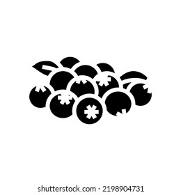 grupo de vectores de iconos de glifos de hojas de arándanos. un montón de letrero de hojas de arándanos. ilustración de símbolo aislado