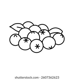 bunch of blueberries leaf line icon vector. bunch of blueberries leaf sign. isolated contour symbol black illustration