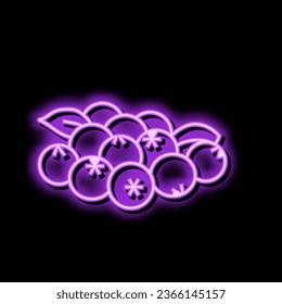 grupo de arándanos de arándanos de hoja de neón vector de señal de luz. grupo de ilustraciones de hojas de arándanos