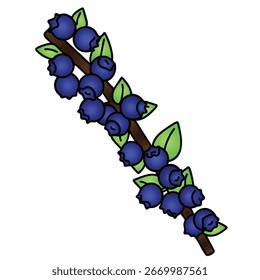  Um monte de mirtilos ilustração vetorial em um fundo branco