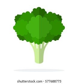 Bunch of broccoli vector flat material design isolated on white