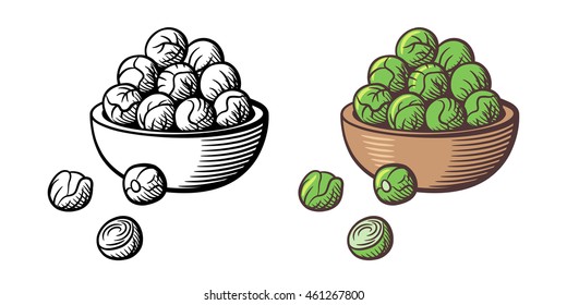 Bunch of brussels sprouts in a bowl. Vector, isolated on white. Outline and colored version