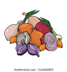 A bunch of bulbs of various varieties and sizes, a harvest of a healthy vegetable vector illustration