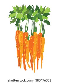 Bunch of carrots abstract illustration. Vector