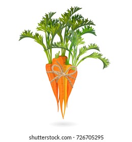 Bunch of carrots bound by rope realistic vector illustration isolated