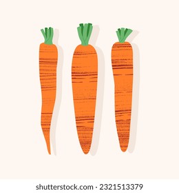 Bunch de zanahorias de diferentes tamaños y formas con tallos verdes de estilo plano. Elegante ilustración vectorial con textura sobre fondo claro. Concepto de cultivo ecológico de verduras en la granja. 