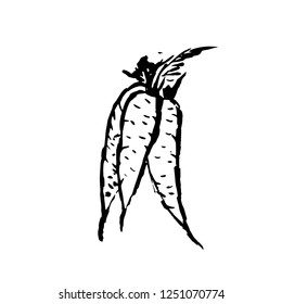 Bunch of carrots. Grunge icon. Vector illustration.