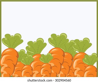 Bunch of Carrots. Vector 