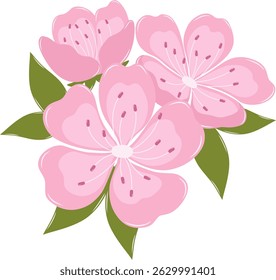 A Bunch of Cherry Blossom Flower. Flat and Simple Pink Sakura.