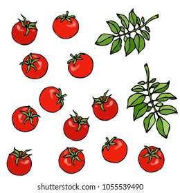 Bunch of Cherry Tomatoes With Leaves. Botanical Gardening Illustration. Ketchup Logo or Vegetable Salad. Realistic Hand Drawn Vector Illustration. Savoyar Doodle Style.