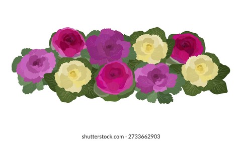 Bunch Chinese Flowering Cabbage for botanical themes, seasonal decor, garden inspiration, cultural storytelling, educational materials, eco concepts.