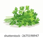 A bunch of chopped fresh cilantro vector icon isolated on white background, the herbs lush green leaves and distinctive shape. Cilantro serves as a popular herb in global cuisine. Vibrant color