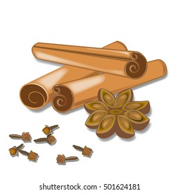 Bunch of cinnamon, cloves and  star anise . Vector