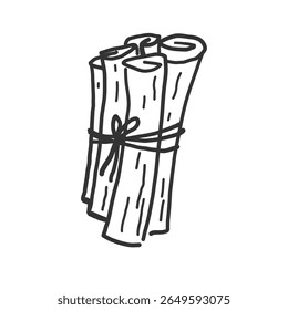 Bunch of cinnamon sticks, bark brown spice hand drawn. Sketch with rolled cinnamons. Spicy seasoning, condiment aromatic ingredient for cooking, backing. Vector illustration on isolated background.
