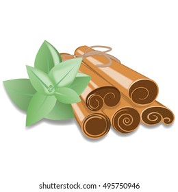 Bunch of cinnamon sticks and mint on a white background. Vector