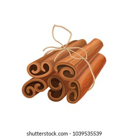 Bunch of cinnamon sticks tied with rope. Oriental spice. Aromatic seasoning for dishes and drinks. Detailed vector element for product packing or cafe menu