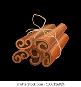 Bunch of cinnamon sticks tied with twine, fragrant spice vector Illustration on a white background