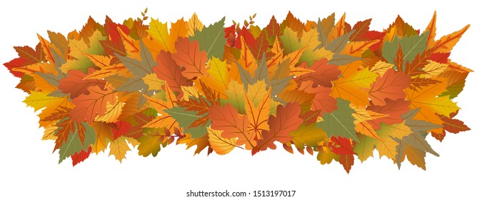 bunch of colorful autumn leaves, vector illustration eps  10