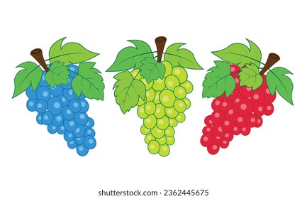 a bunch of colorful grapes is perfect for a variety of uses, such as food packaging, restaurant menus, and social media posts.