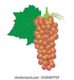 Bunch of colorful,  silhouette  grapes vector illustration. Bunch of grapes vector. Grapes logo icon.  Fruit vector illustration, nature wine,