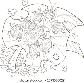 bunch of coloring bugs, botanical illustration ready to be colored