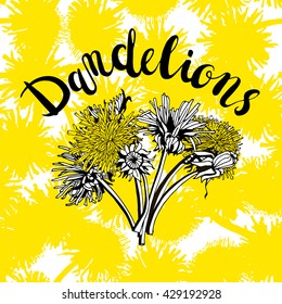 Bunch of dandelions with text on seamless background. Isolated objects with black contour. Yellow and white pattern with summer flowers.