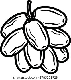 Bunch of dates with middle eastern food and drink hand drawn ingredient vegetarian fruitful botanical illustration as isolated object