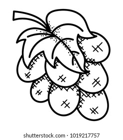 
A bunch of delicious grapes with leaf hand drawn icon
