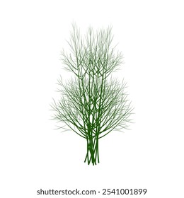 A bunch of dill. Part of my color flat set of 15 best herbs for cooking. Greenery on a white. Herbs for meat, fish, drinks and cocktails. Used dev, app, design, web, ui, advertising.Vector 10 EPS.