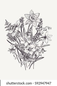 Bunch of early spring flowers. Botanical Illustration engraving style. Vector. Black and white.