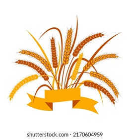 A bunch of ears of wheat with a ribbon for text on a transparent background. Two color vector illustration