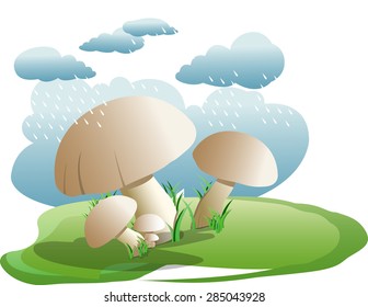 Bunch of edible mushroom