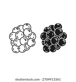 Bunch of elderberries isolated on, line and solid color art