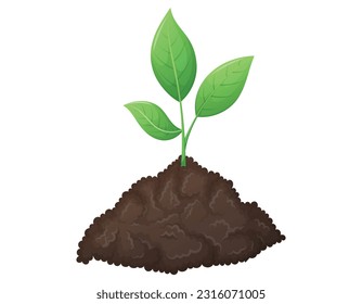 A bunch of fertile black soil and growing green sprout with leaves. The concept of gardening and sowing. Vector isolated cartoon illustration.
