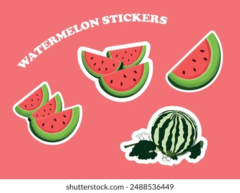 Bunch of flat vector watermelon stickers on pink background. Sticker of whole white green watermelon with leaves and vine. Sticker set of juicy colorful watermelon slices on white EPS 10