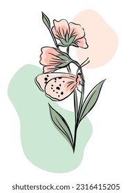 bunch of flowers and butterfly vector in lines salmon black colors with white background