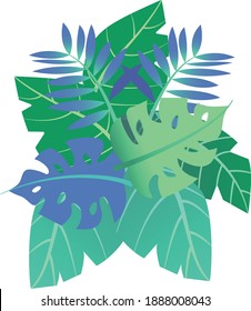 a bunch of four kinds of aglonema flower