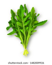 Bunch of fresh arugula leaves isolated on white