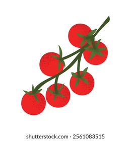 Bunch of fresh cherry tomatoes on a vine. Perfect for healthy food designs, gardening themes, or natural product concepts. Flat vector style, isolated on white