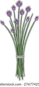 A bunch of fresh chives tied together, showcasing their green stems and delicate purple flower heads, perfect for culinary and decorative use.