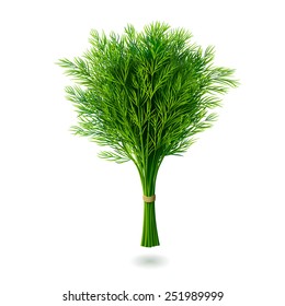 Bunch of fresh dill with shadow isolated on white background. Realistic vector illustration.