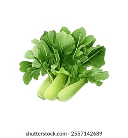 A bunch of fresh, green bok choy with crisp leaves and stalks, ideal for cooking and salads.