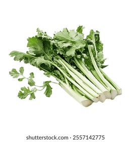 A bunch of fresh green celery with leafy tops, ideal for cooking or salads.