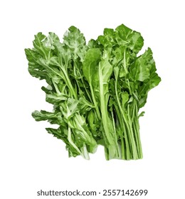 A bunch of fresh green leafy vegetables, ideal for salads and healthy dishes.