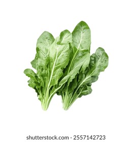 A bunch of fresh green lettuce leaves, ideal for salads and healthy dishes.