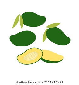Bunch of fresh green mango. Flat vector illustration isolated on white background.