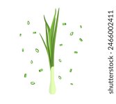 Bunch of fresh green onions. vector illustration in flat design