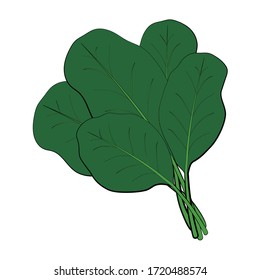 Ein Haufen frischen grünen Spinat. Rohkost für Veganer. Eine Zutat für östliche Küche. Gesunde Lebensmittel, Frühlingsvitamine, natürliche Nahrung. Vektorgrafik im Cartoon-Stil einzeln auf weißem Hintergrund.