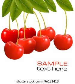 Bunch of fresh, juicy, ripe cherries. Vector illustration.