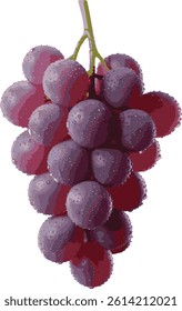 a bunch of fresh purple grapes with dew drops